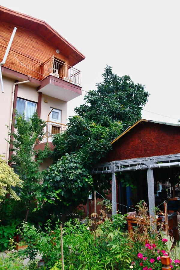 Rosemary Pansiyon Apart Bed & Breakfast Cirali Exterior photo