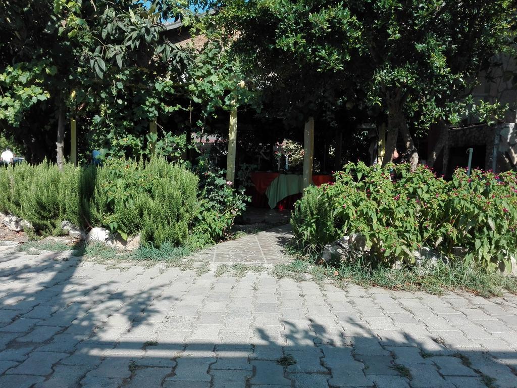 Rosemary Pansiyon Apart Bed & Breakfast Cirali Exterior photo