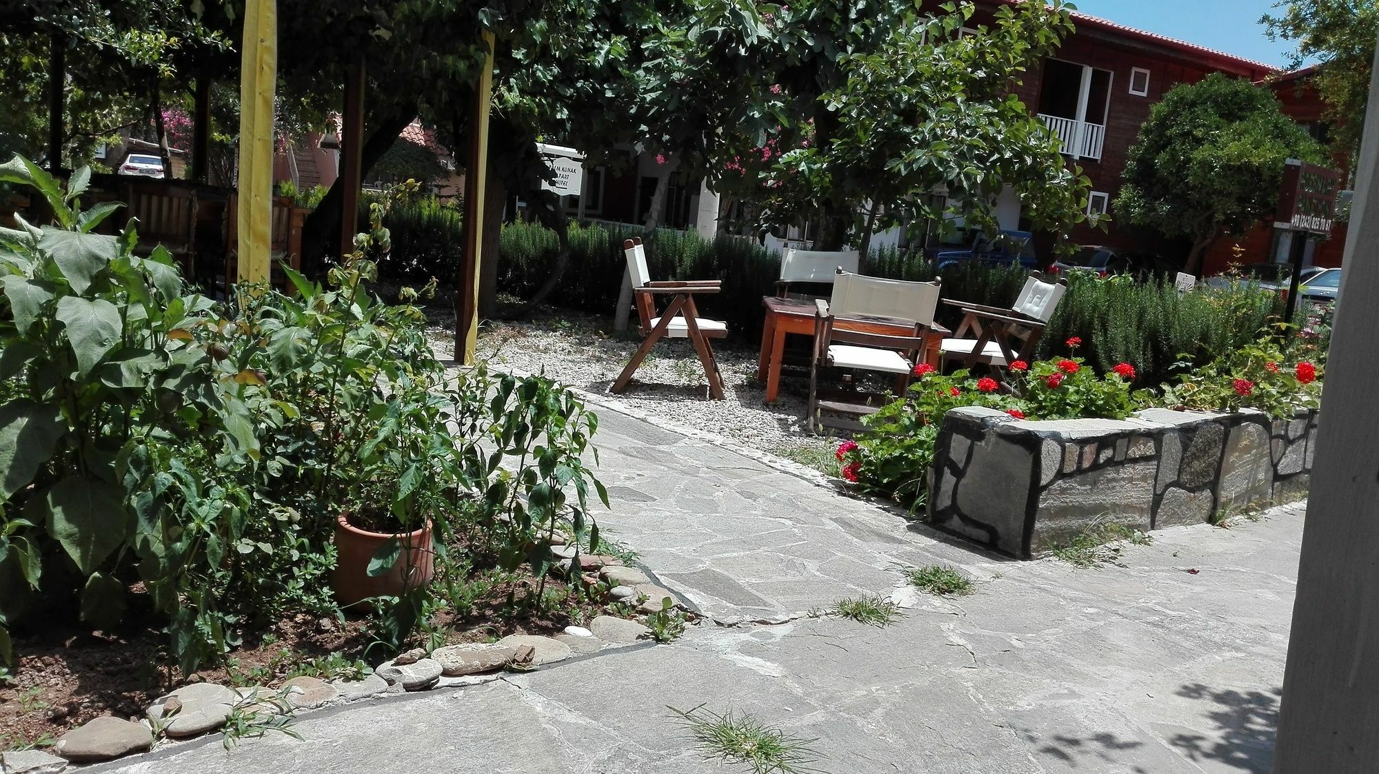 Rosemary Pansiyon Apart Bed & Breakfast Cirali Exterior photo